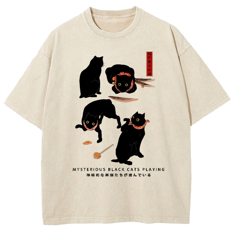 Black Cat Washed T-Shirt