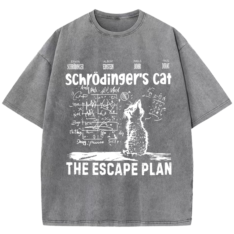 Schrodinger's Cat Washed T-Shirt