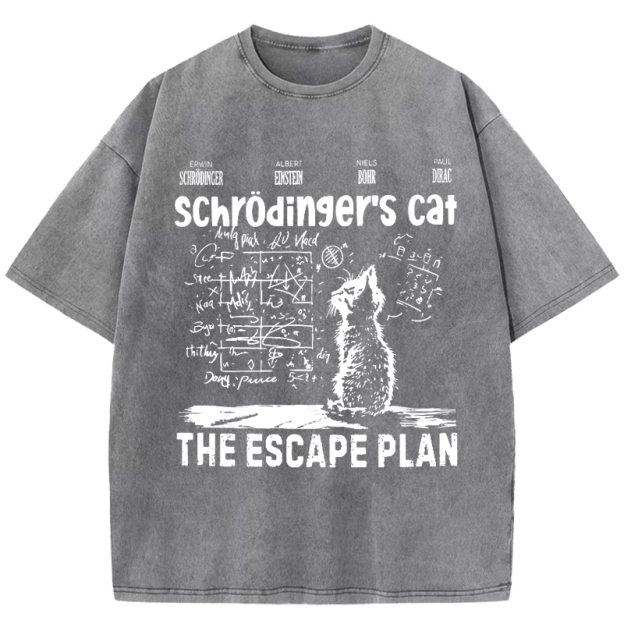 Schrodinger's Cat Washed T-Shirt