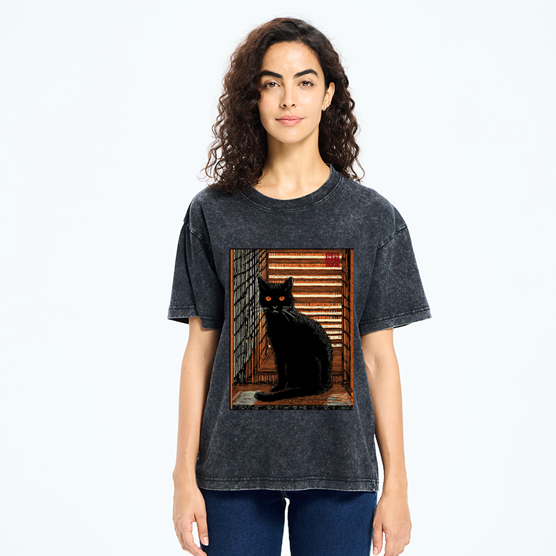 Unisex Guardian of the Steps Washed T-Shirt