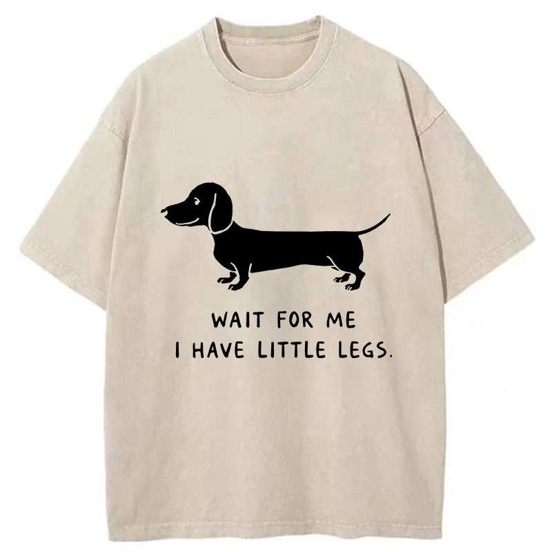 Unisex Wait For The Dachshund Washed T-Shirt