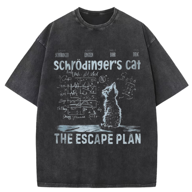 Schrodinger's Cat Washed T-Shirt