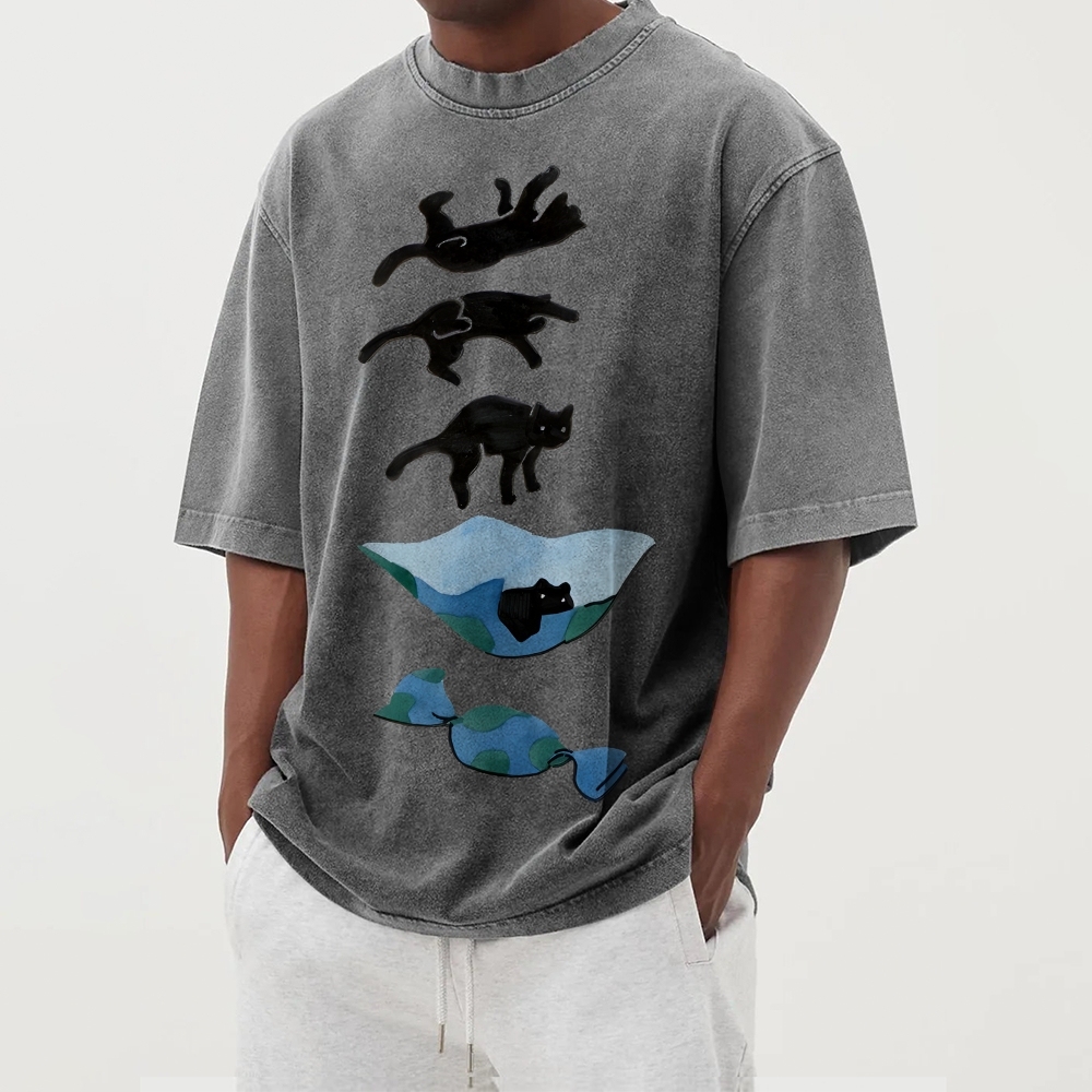 Cat Landing Washed Vintage Short Sleeves T-Shirt