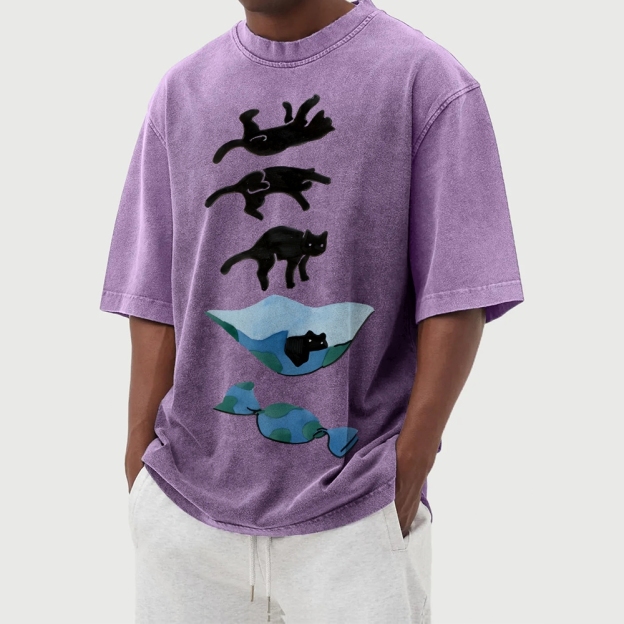 Cat Landing Washed Vintage Short Sleeves T-Shirt