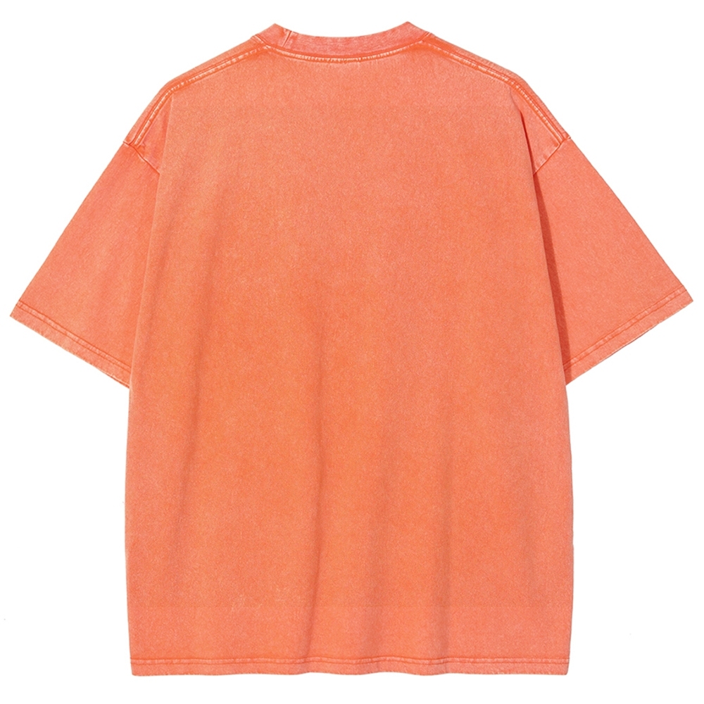 Fish With Feet Washed Vintage Short Sleeves T-Shirt