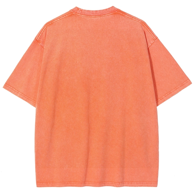 Fish With Feet Washed Vintage Short Sleeves T-Shirt