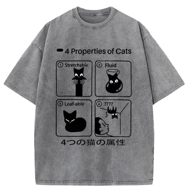  4 Attributes Of Cats Washed T-Shirt