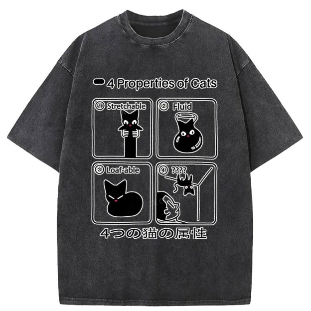  4 Attributes Of Cats Washed T-Shirt