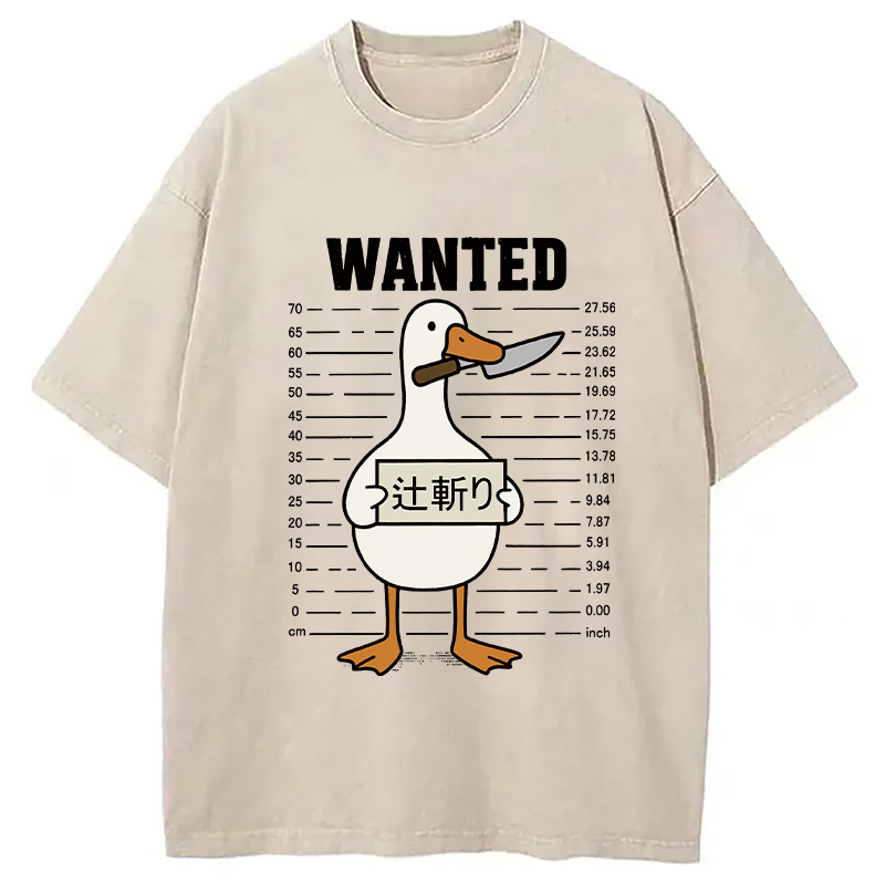 Wanted Silly Goose Washed T-Shirt
