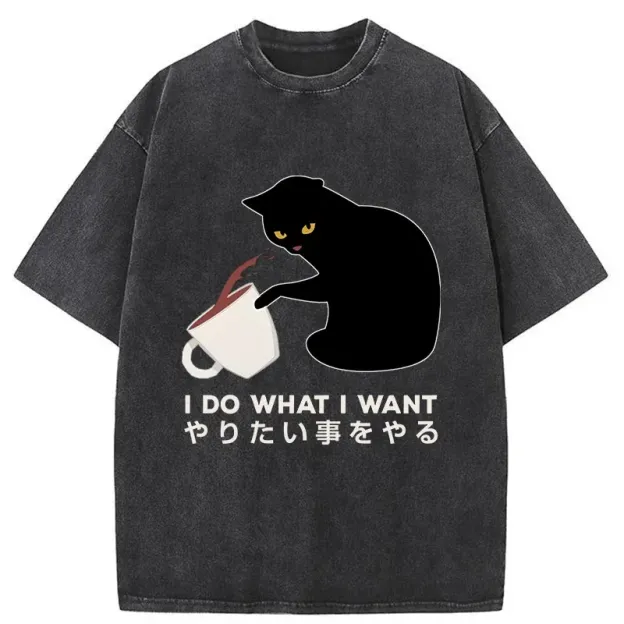  Tsundere Cat Funny Washed T-Shirt