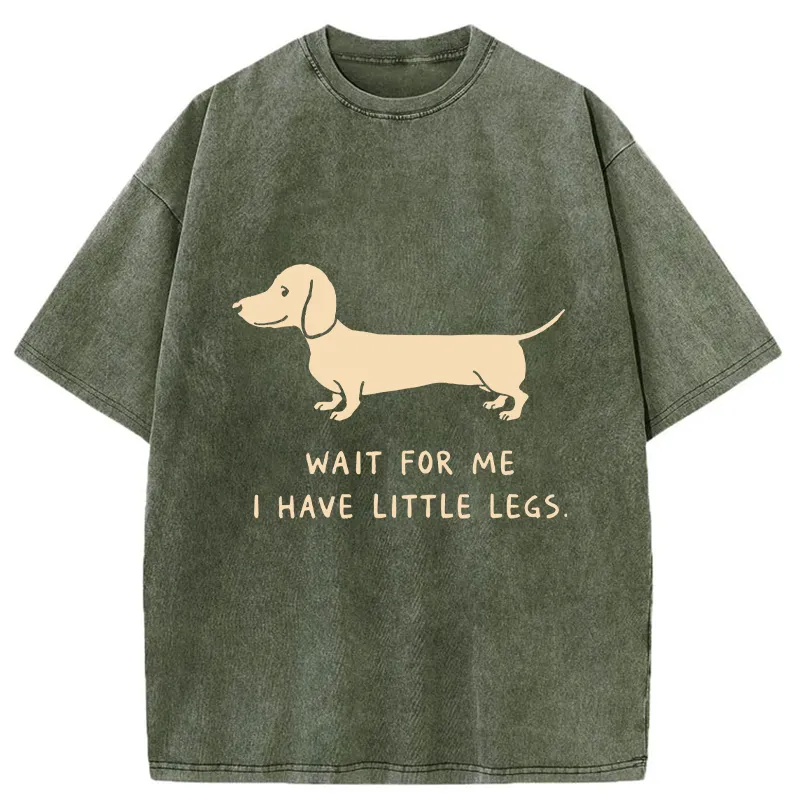 Unisex Wait For The Dachshund Washed T-Shirt