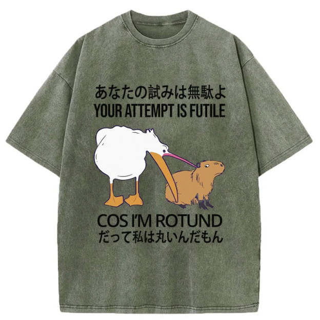 Your Attempts Are In Vain Washed T-Shirt