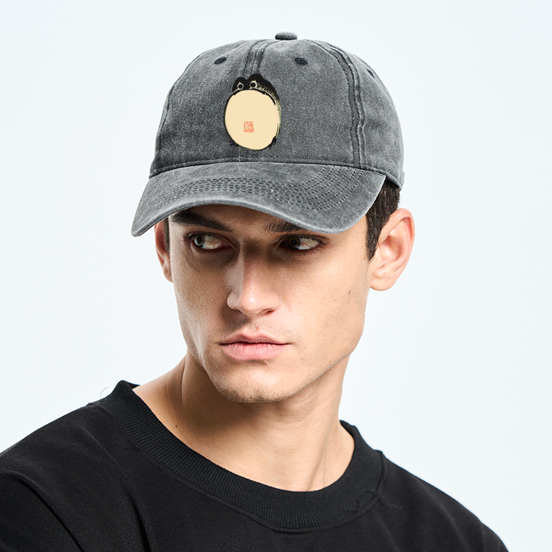 Grumpy Frog Japanese Washed Cap
