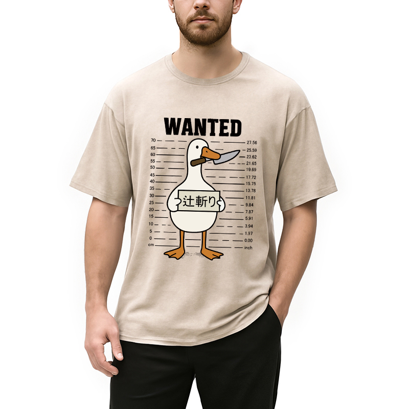 Wanted Silly Goose Washed T-Shirt