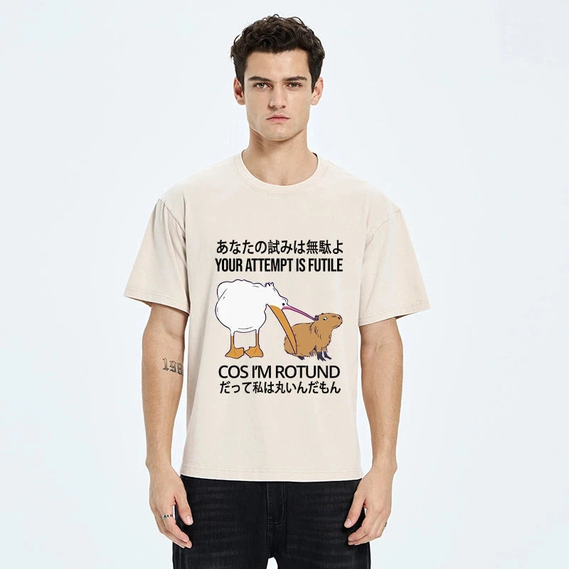 Your Attempts Are In Vain Washed T-Shirt