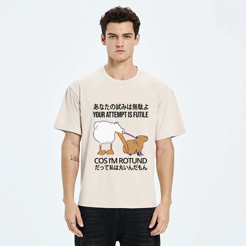 Your Attempts Are In Vain Washed T-Shirt