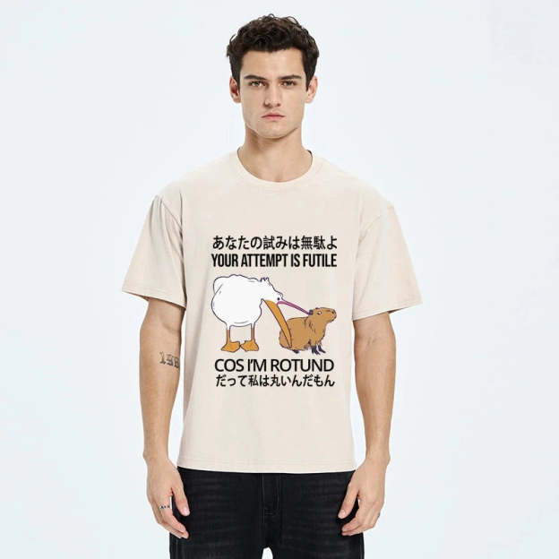 Your Attempts Are In Vain Washed T-Shirt
