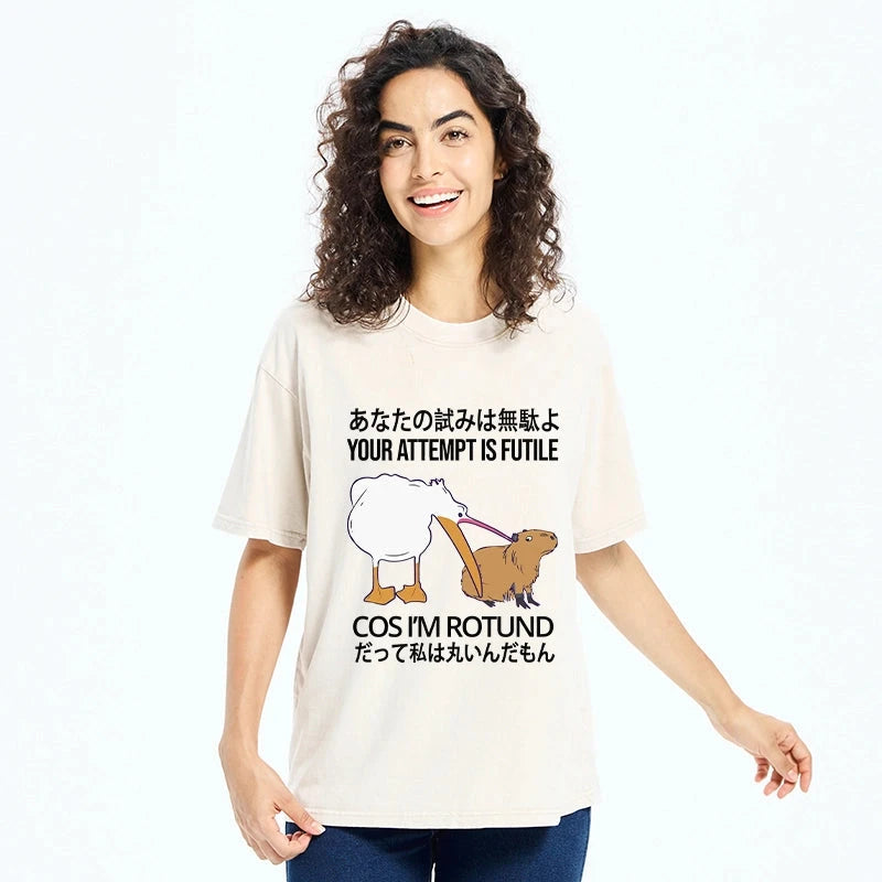Your Attempts Are In Vain Washed T-Shirt
