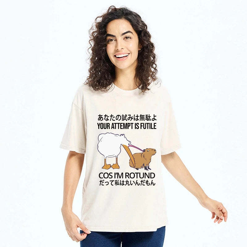 Your Attempts Are In Vain Washed T-Shirt