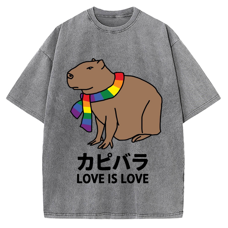 Capybara With Love Vintage Washed T-shirt