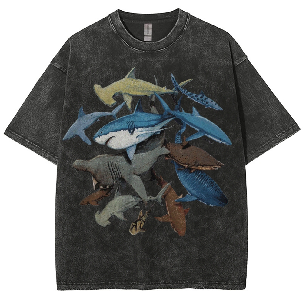 Unisex Washed Shark Identification Print T-shirt