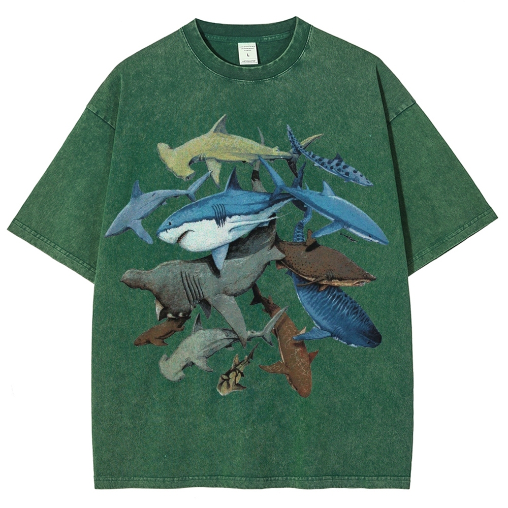 Unisex Washed Shark Identification Print T-shirt