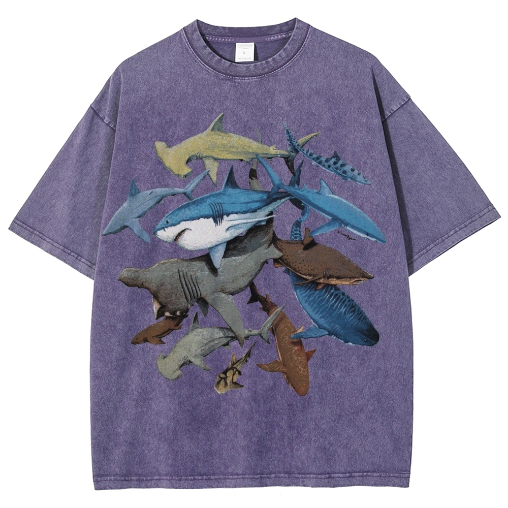 Unisex Washed Shark Identification Print T-shirt