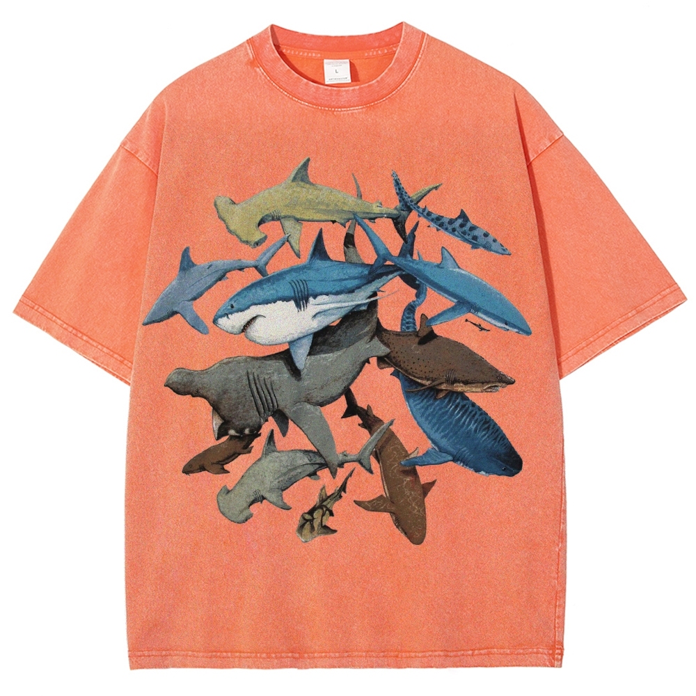 Unisex Washed Shark Identification Print T-shirt