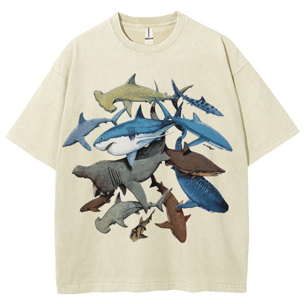 Unisex Washed Shark Identification Print T-shirt