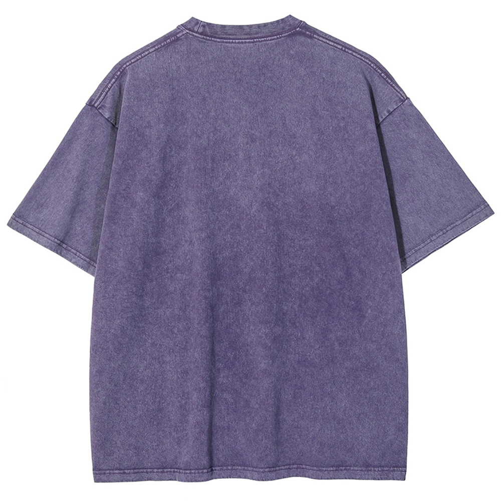 Unisex Goose Printed Washed Tee