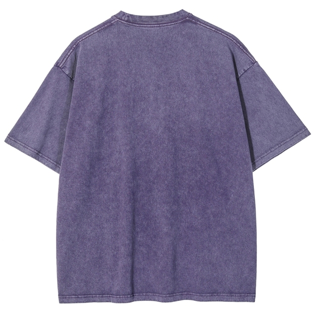 Unisex Goose Printed Washed Tee