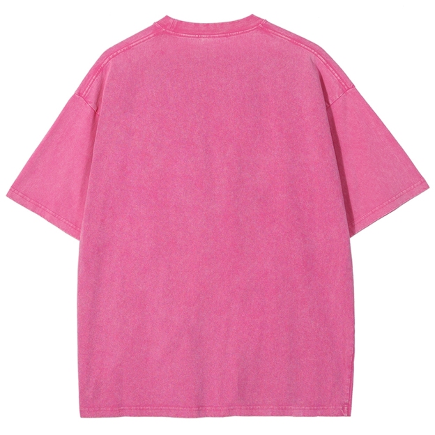 Unisex Goose Printed Washed Tee