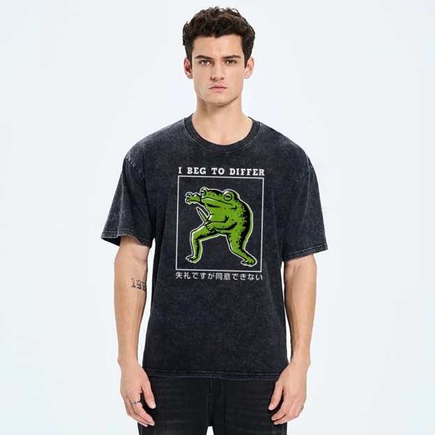Unisex Japanese Frog Printed Washed Tee