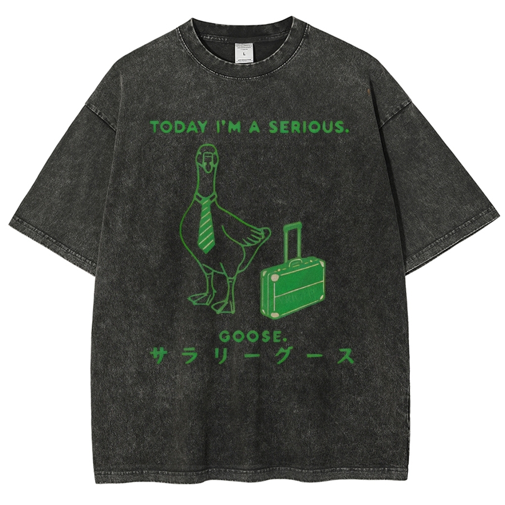 Unisex Goose Printed Washed Tee
