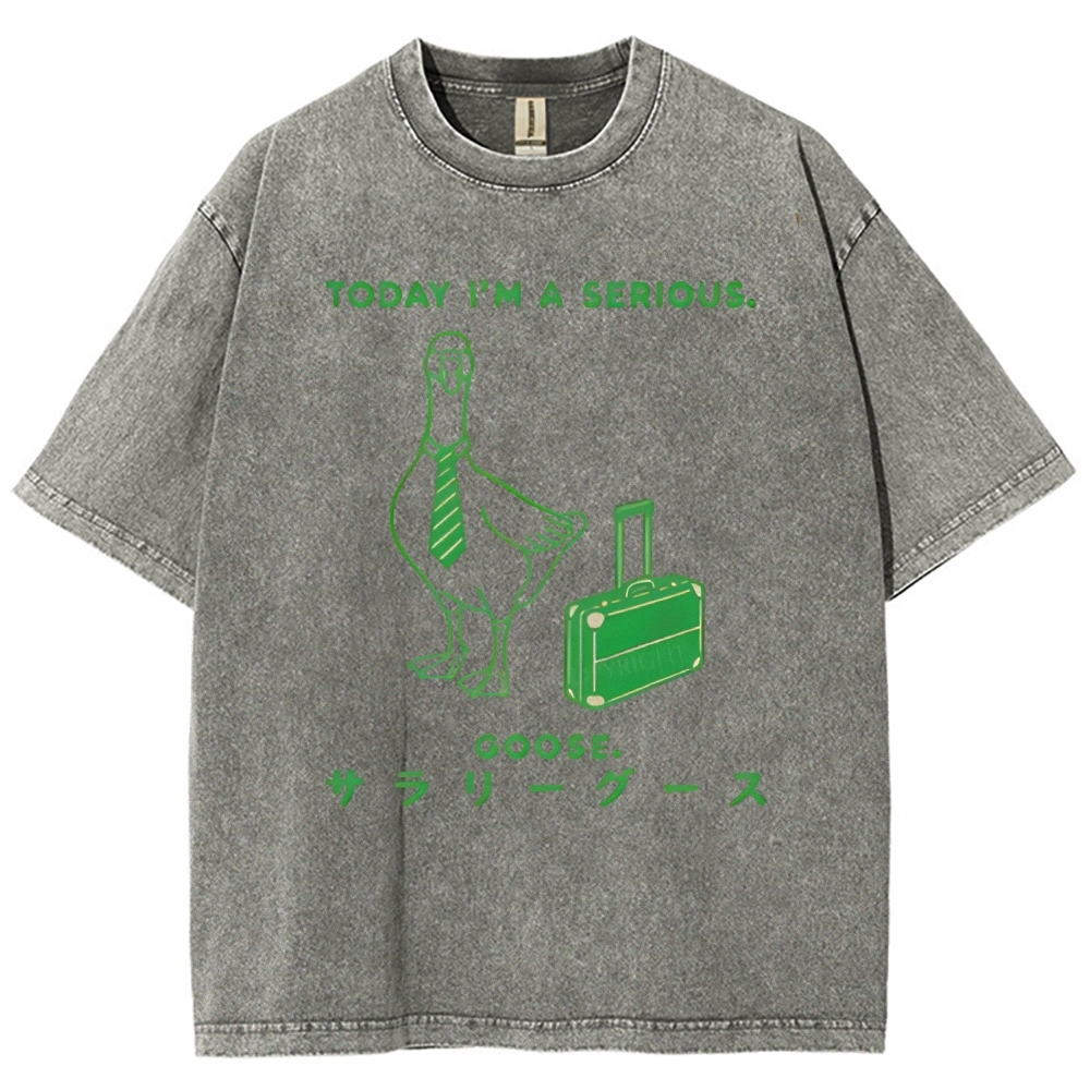 Unisex Goose Printed Washed Tee