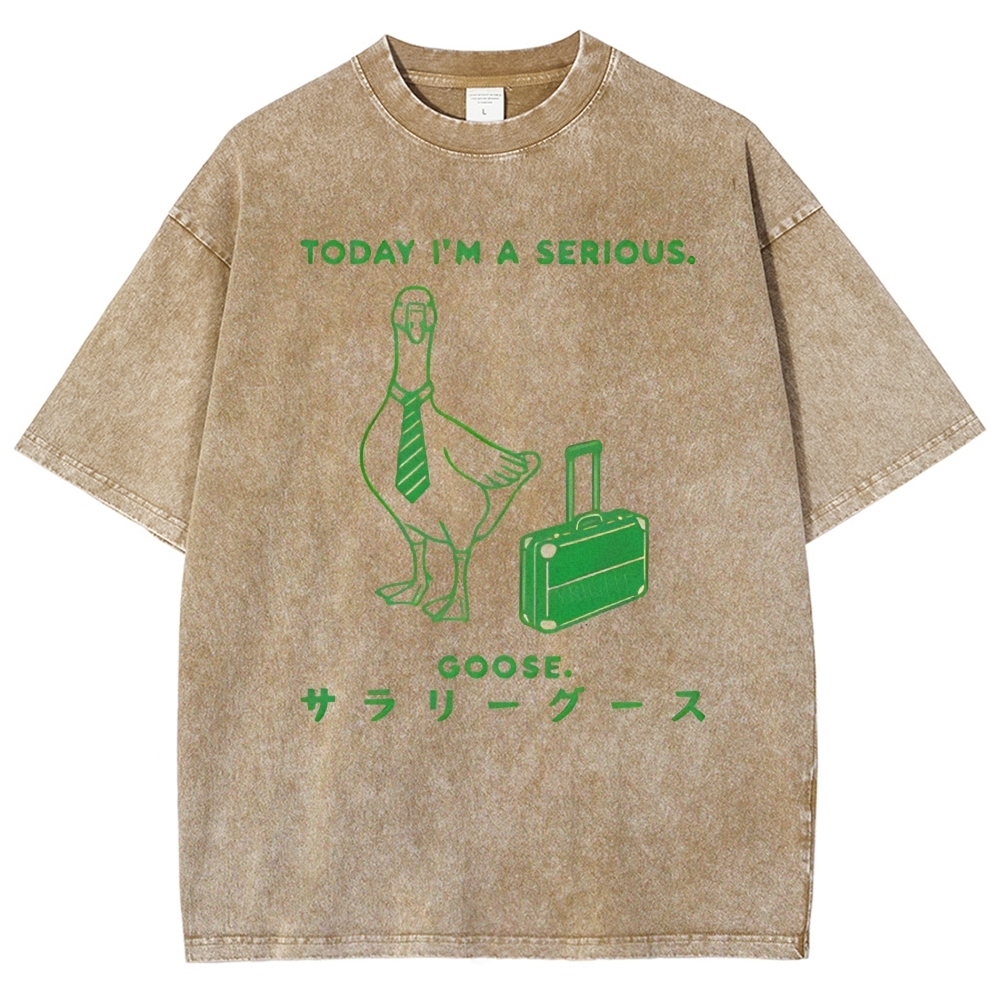 Unisex Goose Printed Washed Tee