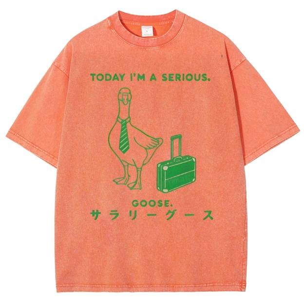 Unisex Goose Printed Washed Tee