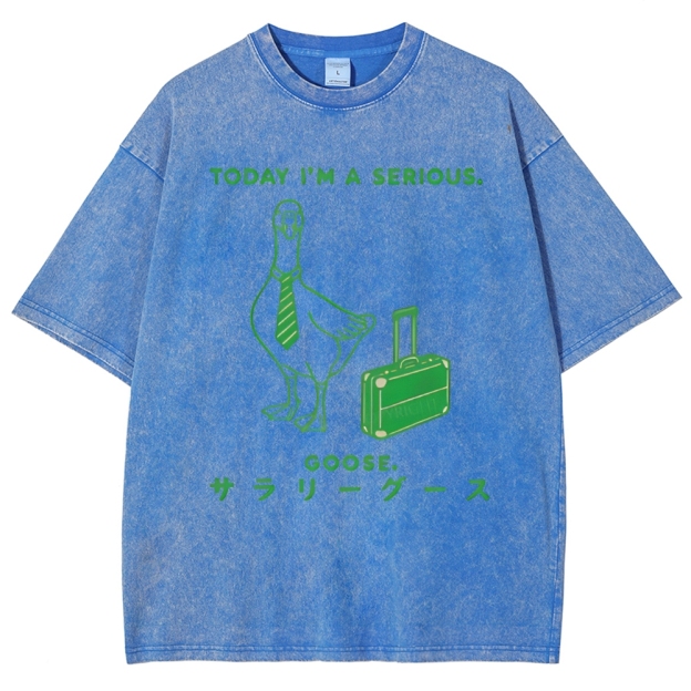 Unisex Goose Printed Washed Tee