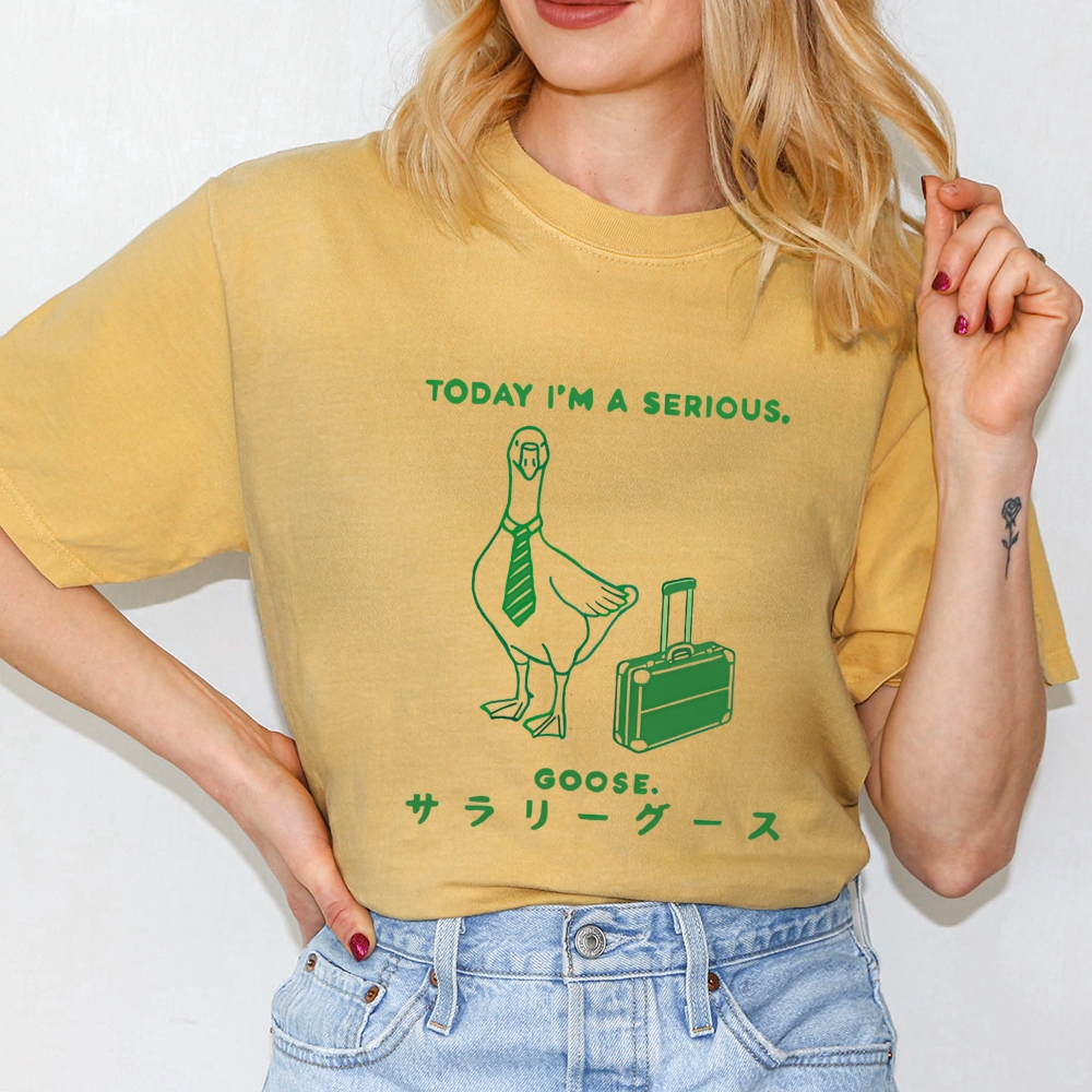 Today I'm a serious goose  T-Shirt