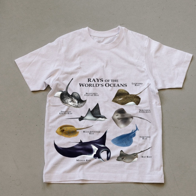 Rays Prints Unisex Cotton T-Shirt