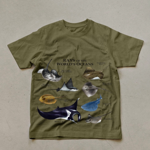Rays Prints Unisex Cotton T-Shirt