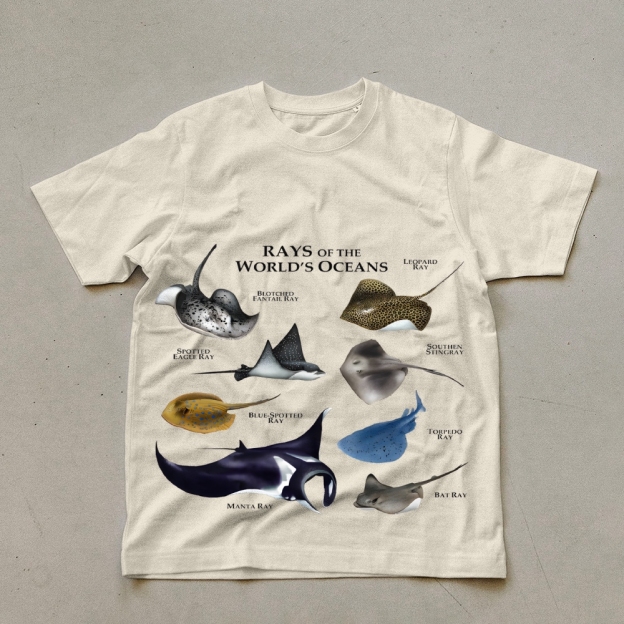 Rays Prints Unisex Cotton T-Shirt