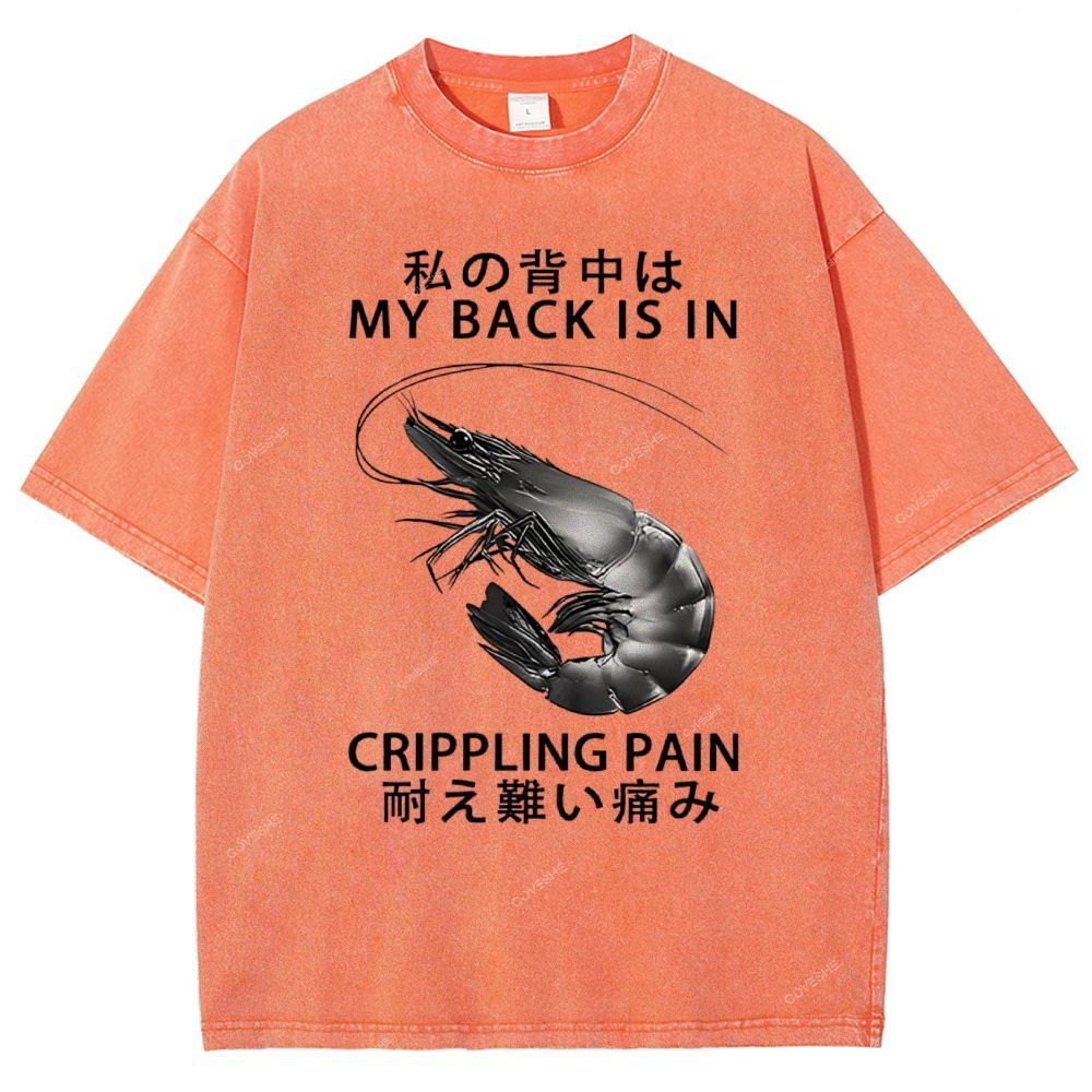 Unisex Cripping Pain Printed Washed Tee