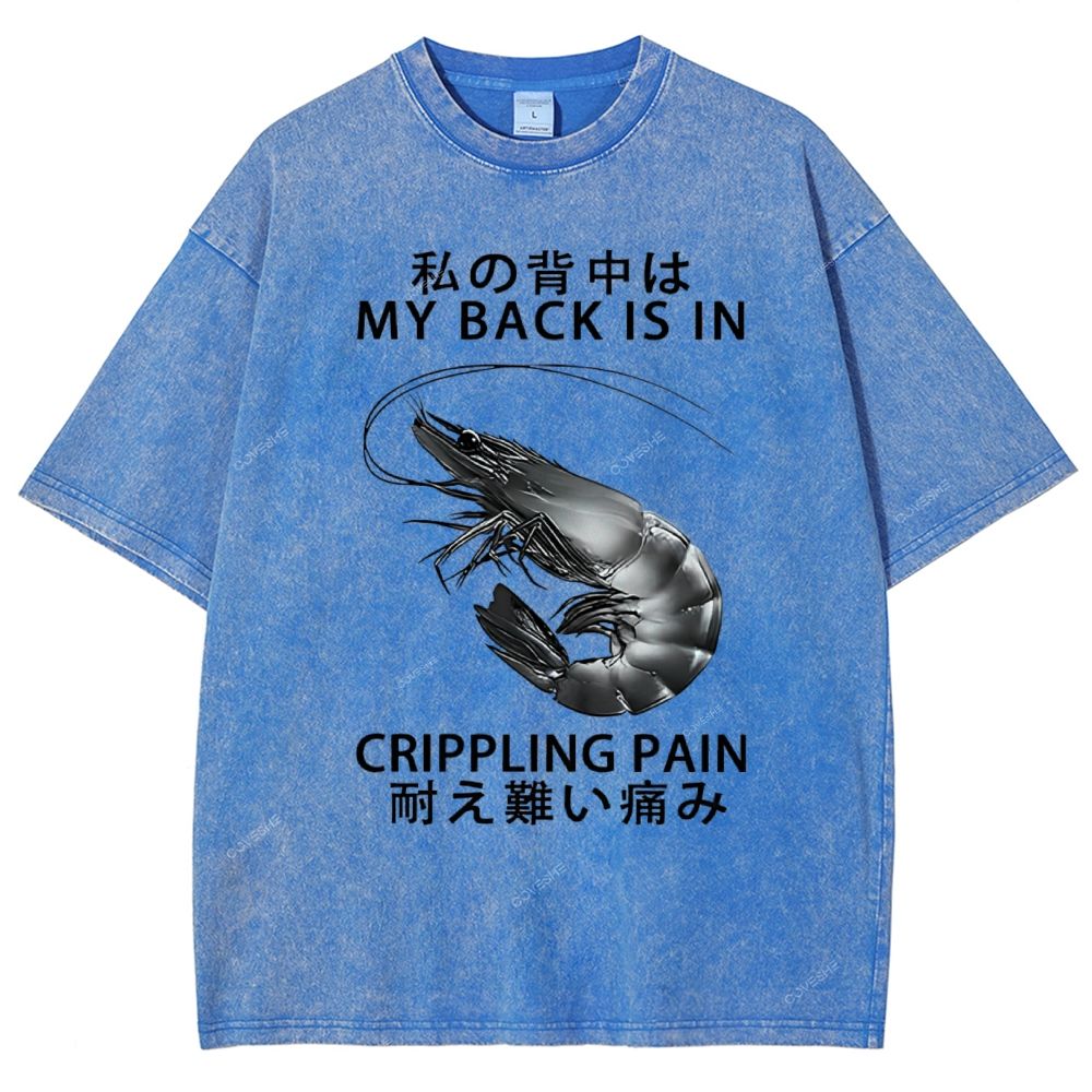 Unisex Cripping Pain Printed Washed Tee