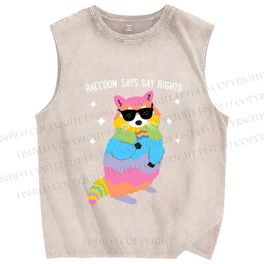 Unisex Pride Raccoon Says Gay Rights Printed Washed Tank Top