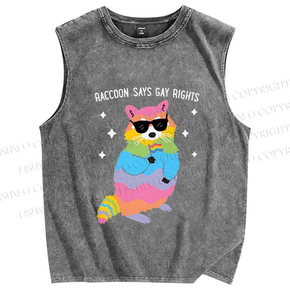 Unisex Pride Raccoon Says Gay Rights Printed Washed Tank Top