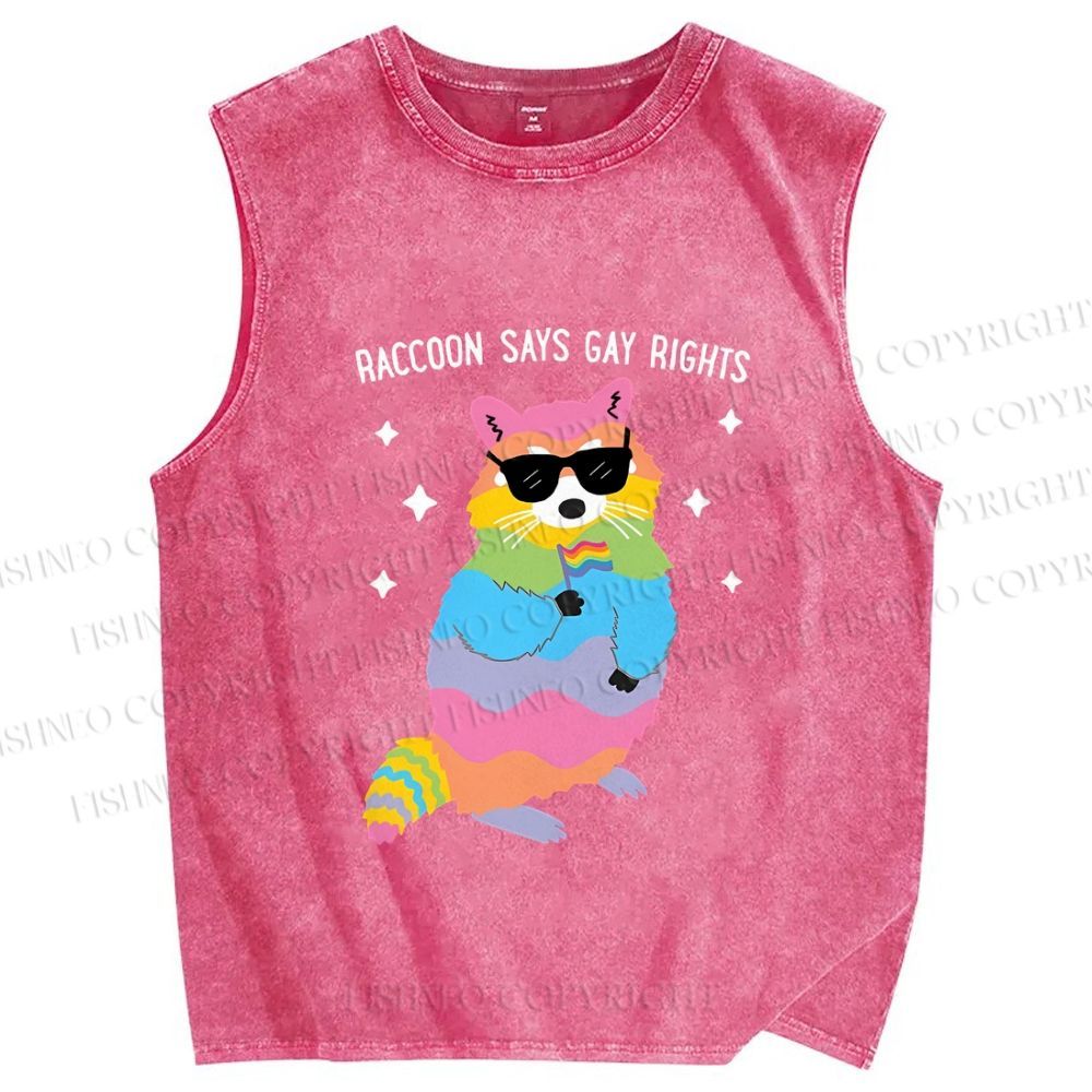 Unisex Pride Raccoon Says Gay Rights Printed Washed Tank Top