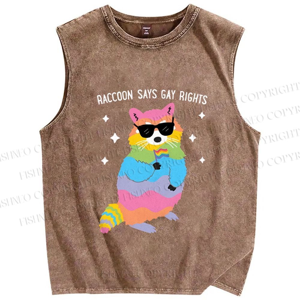 Unisex Pride Raccoon Says Gay Rights Printed Washed Tank Top