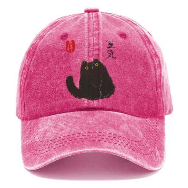 Black Civet Cat Washed Cap