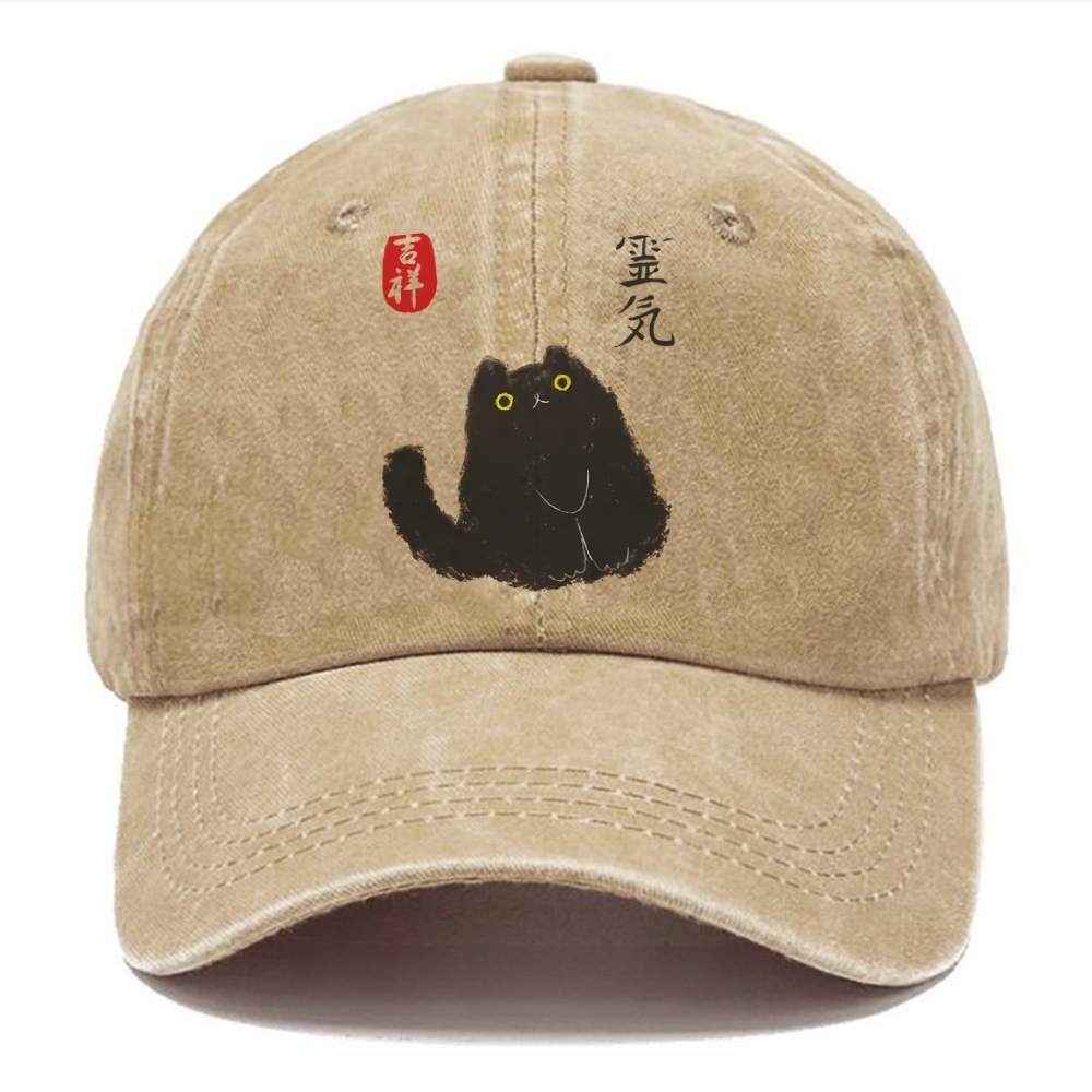 Black Civet Cat Washed Cap